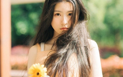 蛾毛毛