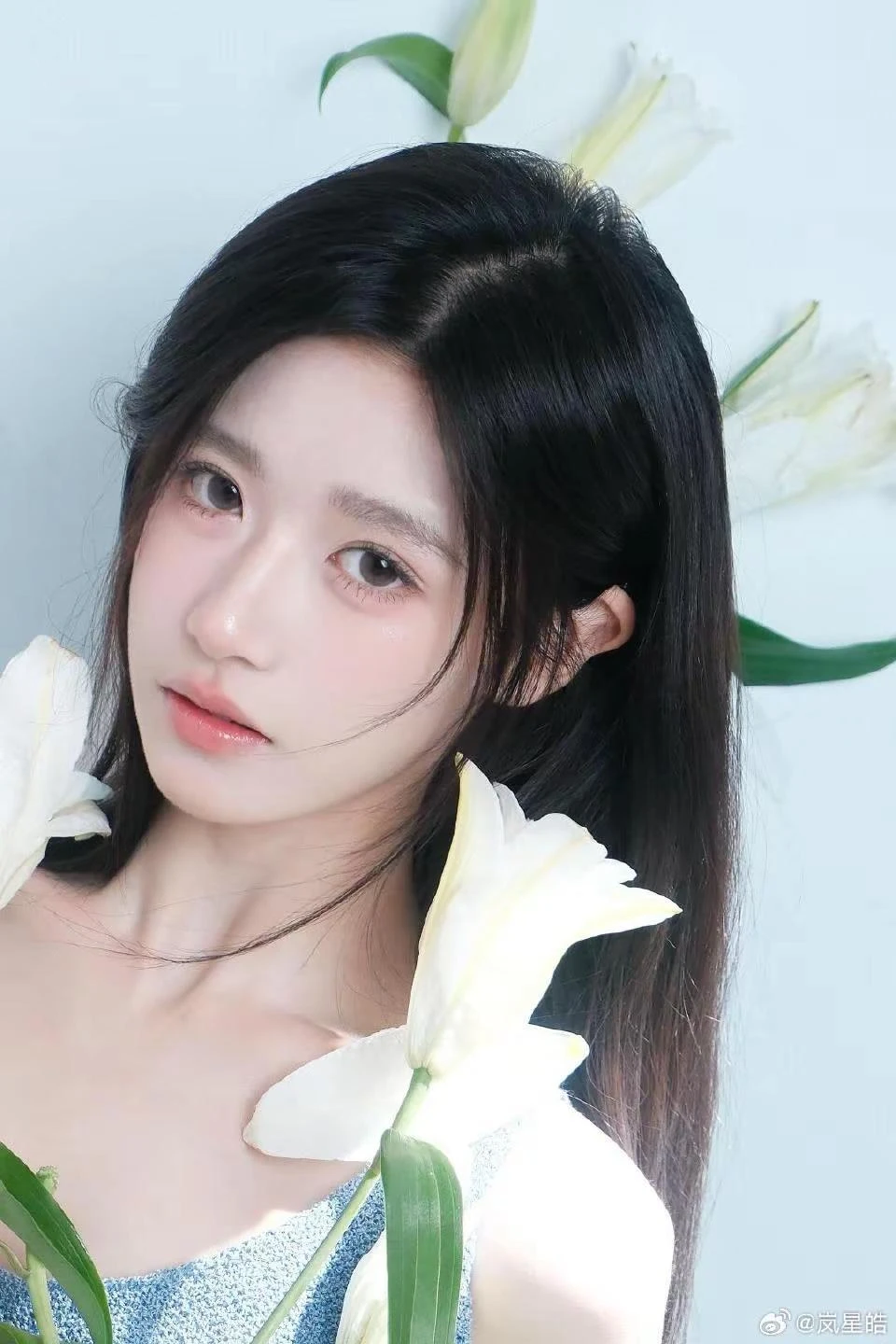 玄缃莲泉