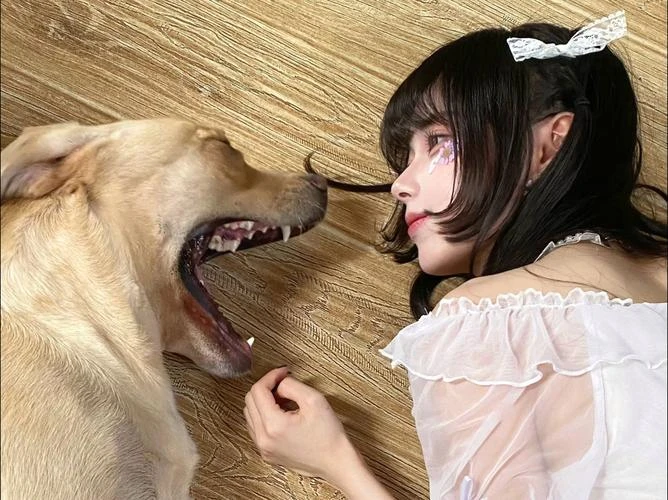 慕泠殇