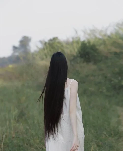 宴不知