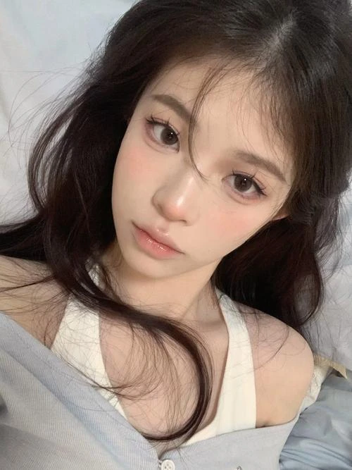 倦枝寒