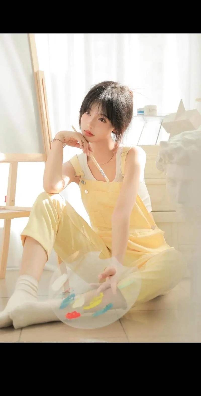 百小棕白