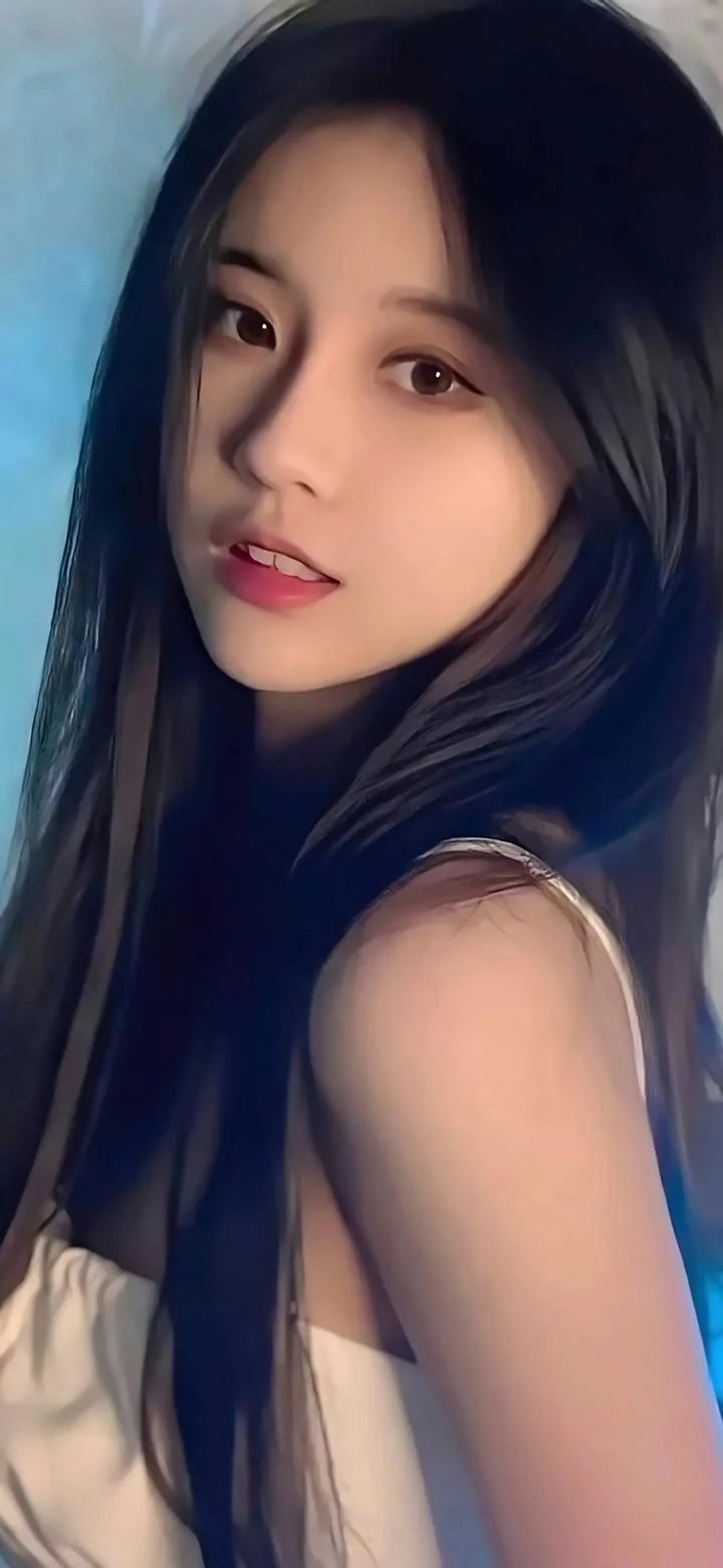 毛线绒狗头