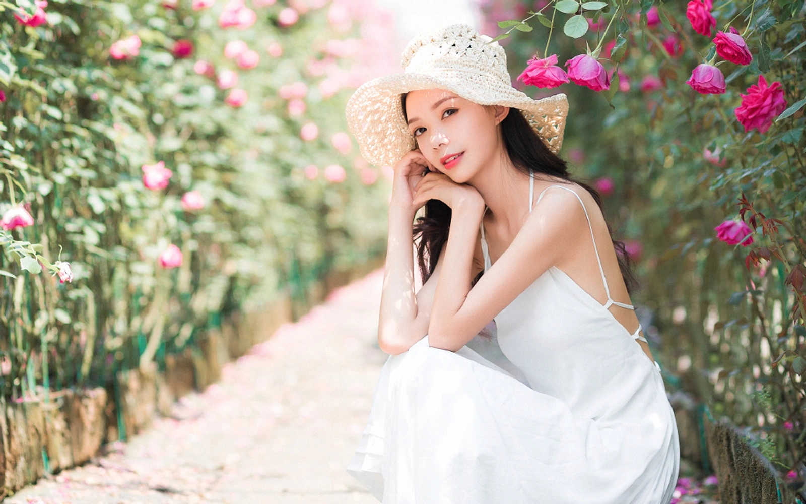 桃浦鲨鱼
