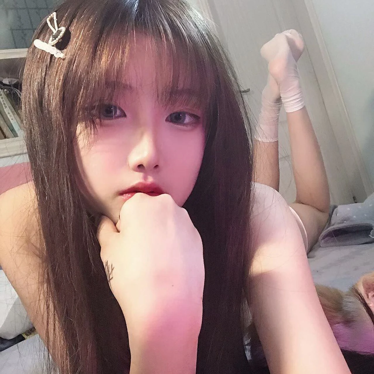 律动的刺猬
