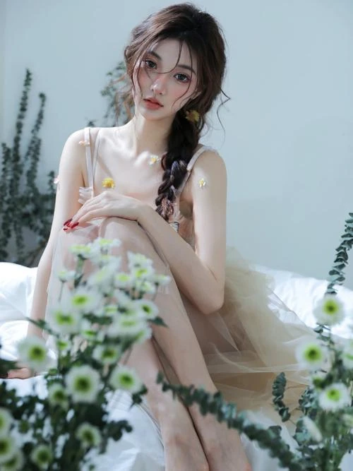 袖裏藏猫