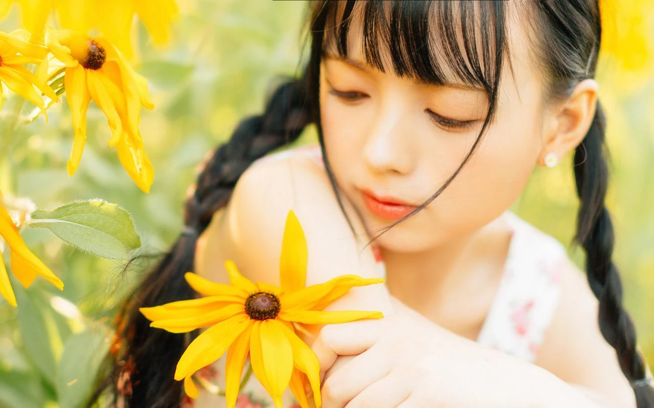 一树的花
